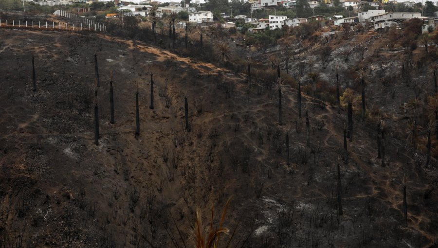 Anuncian llamado especial para el subsidio de arriendo con bonificación para damnificados del megaincendio