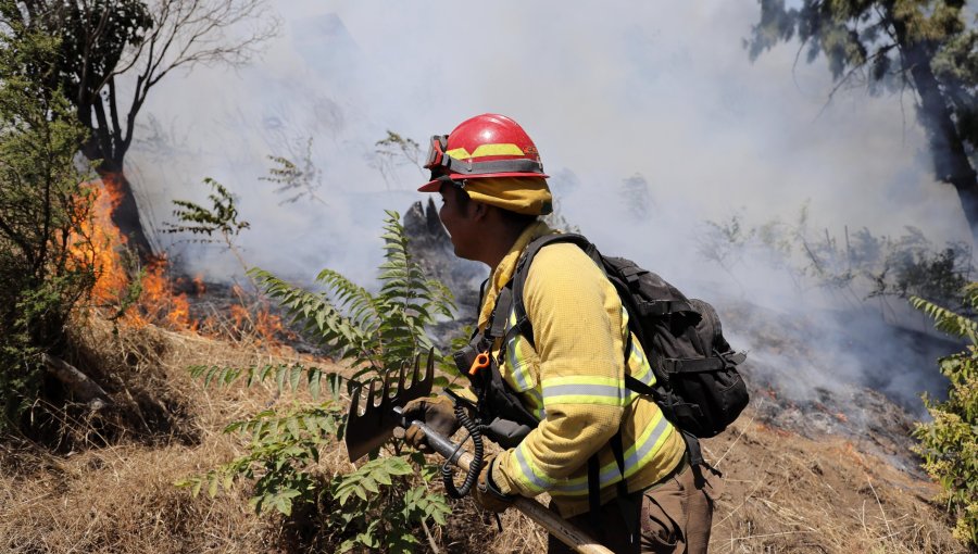 Cancelan la Alerta Roja para Catemu tras control de incendio forestal que consumió 2.3 hectáreas