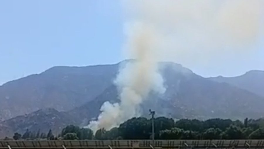 Senapred activa mensajería SAE y solicita evacuar el sector Alameda Santa Rosa en Catemu por incendio forestal