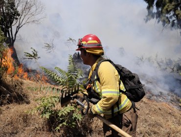 Cancelan la Alerta Roja para Catemu tras control de incendio forestal que consumió 2.3 hectáreas