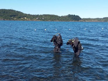 Cierran temporalmente el puerto del lago Villarrica para facilitar búsqueda de kayakista extraviada