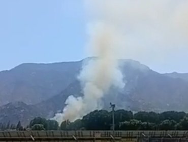 Senapred activa mensajería SAE y solicita evacuar el sector Alameda Santa Rosa en Catemu por incendio forestal