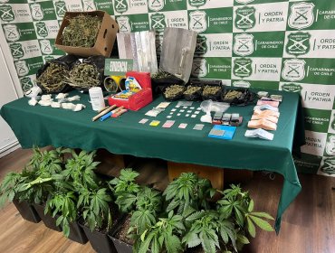 Abuela y nieto fueron detenidos por tráfico de drogas en San Antonio: Carabineros incautaron marihuana, cocaína y ketamina