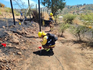 Cancelan la Alerta Roja para Limache tras control de incendio forestal que obligó a solicitar la evacuación del sector Cajón del Lebu