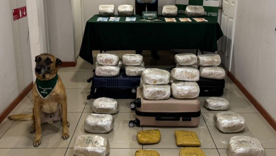 Detienen a tres ciudadanos bolivianos e incautan más de 36 kilos de droga en Coquimbo