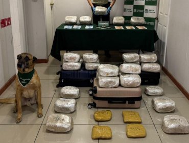 Detienen a tres ciudadanos bolivianos e incautan más de 36 kilos de droga en Coquimbo