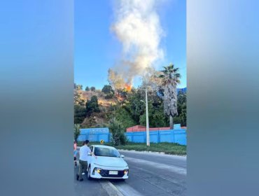 Incendio afectó a terreno de Escuela Naval en Valparaíso: una bengala por partido de fútbol habría provocado el fuego