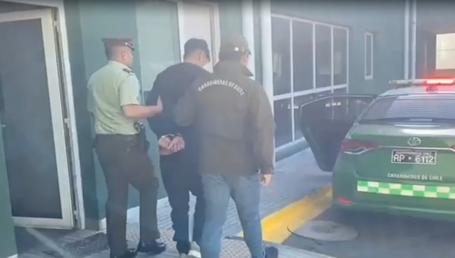 Detienen a sujeto por porte de armas y posesión de 46 plantas de marihuana en San Felipe