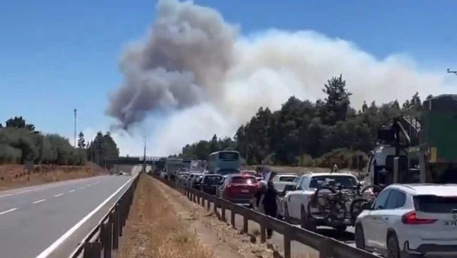 Ruta 5 Sur permanece cortada en ambos sentidos debido a incendio forestal en Collipulli