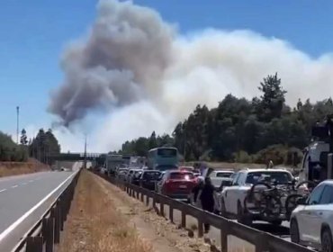 Ruta 5 Sur permanece cortada en ambos sentidos debido a incendio forestal en Collipulli