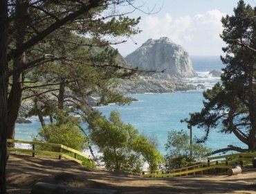 ¿El ocaso de Algarrobo? Advierten de aumento de delitos e inseguridad en balneario preferido por la clase alta de Santiago