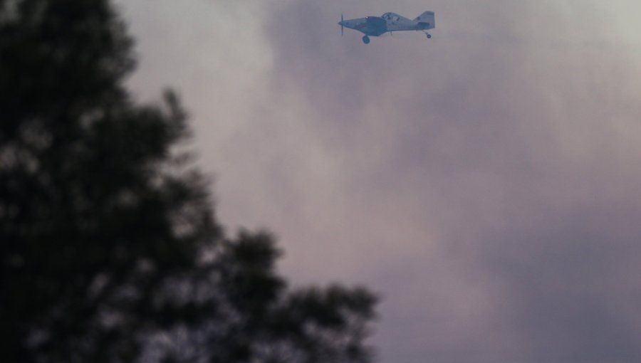 La Araucanía: Reactivación de incendios suspende tránsito en Ruta 5 Sur