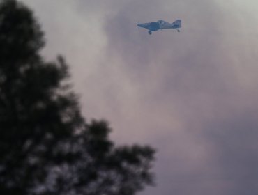 La Araucanía: Reactivación de incendios suspende tránsito en Ruta 5 Sur