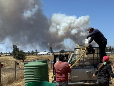 Ministro de Agricultura pide decretar emergencia agrícola en La Araucanía por incendios forestales