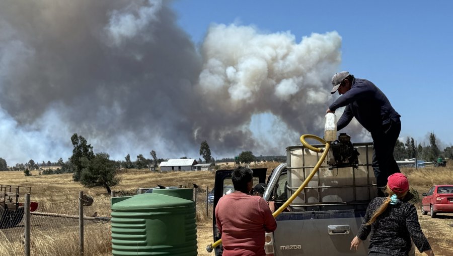 Ministro de Agricultura pide decretar emergencia agrícola en La Araucanía por incendios forestales