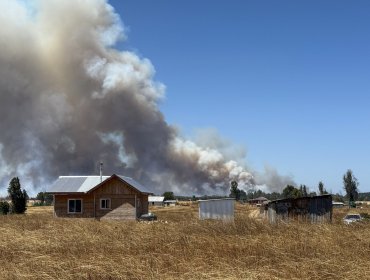 "Lo podemos decir con propiedad": Conaf confirma intencionalidad en incendios forestales en la región de La Araucanía