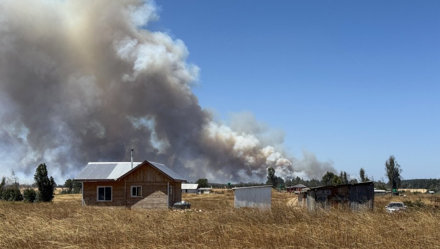 "Lo podemos decir con propiedad": Conaf confirma intencionalidad en incendios forestales en la región de La Araucanía