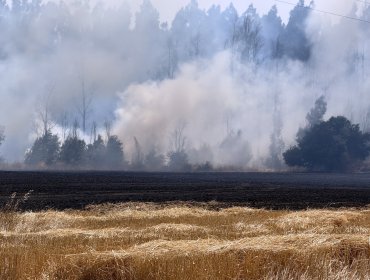 FACh entrega imágenes satelitales de incendios forestales en La Araucanía para contribuir en la gestión de la emergencia