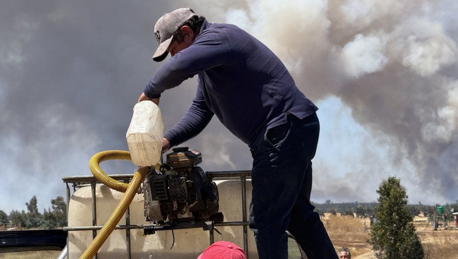 Renuevan toque de queda en La Araucanía y detenidos por incendios suben a 15