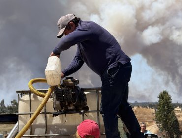 Renuevan toque de queda en La Araucanía y detenidos por incendios suben a 15