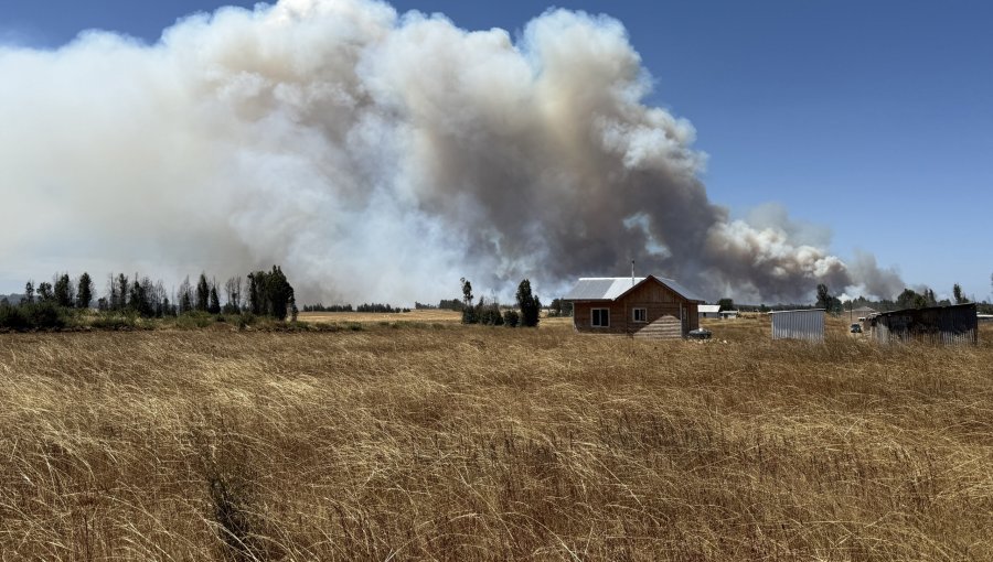 Directora de Conaf dice que los incendios en el sur "se están controlando", pero expresa preocupación por el siniestro en Galvarino