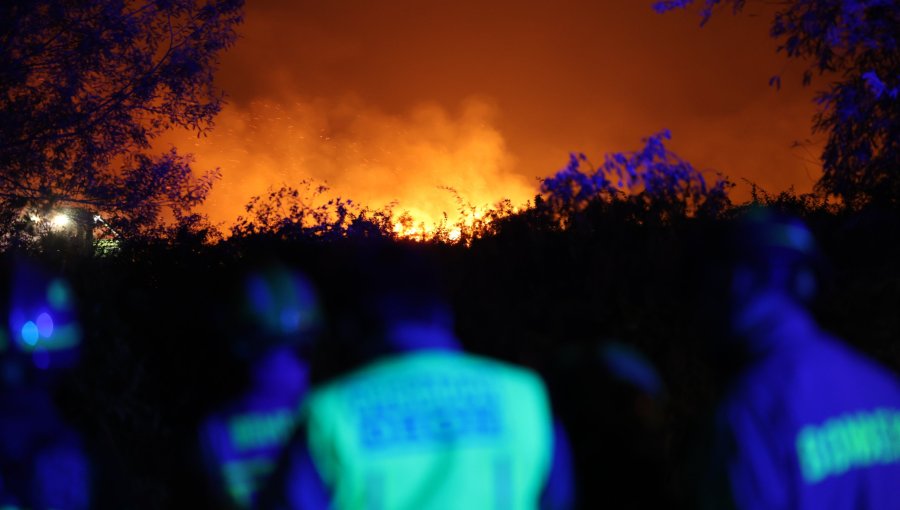 Conaf reporta 22 incendios en combate y 14.654 hectáreas arrasadas por el fuego: La Araucanía es la región más afectada