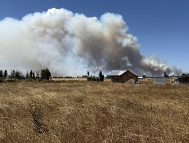 Directora de Conaf dice que los incendios en el sur "se están controlando", pero expresa preocupación por el siniestro en Galvarino