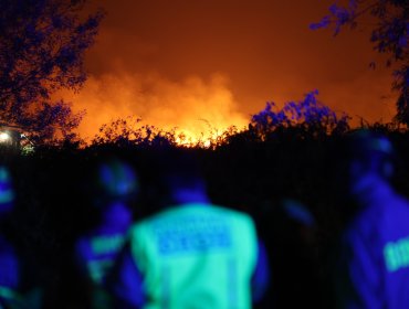 Conaf reporta 22 incendios en combate y 14.654 hectáreas arrasadas por el fuego: La Araucanía es la región más afectada