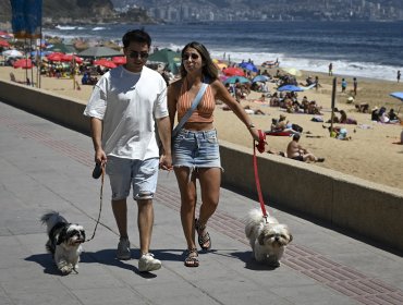 Sernac oficia a aerolíneas por problemas en viajes con mascotas: Sky lidera reclamos