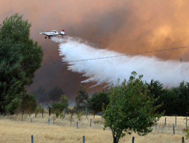 Presidente de la SNA afirma que "no hay ninguna posibilidad" de que suban los precios de los alimentos por los incendios