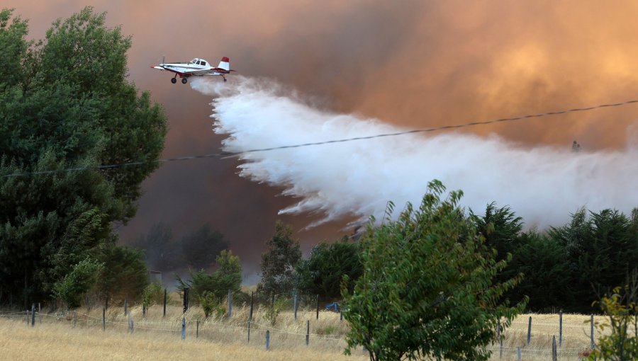 Presidente de la SNA afirma que "no hay ninguna posibilidad" de que suban los precios de los alimentos por los incendios