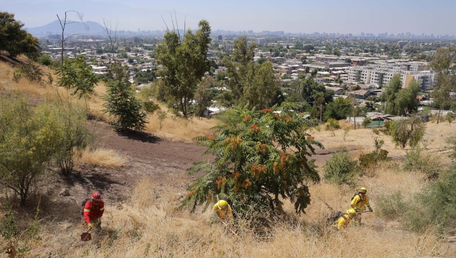 Incendios forestales en la Región de Valparaíso aumentaron en cantidad y bajaron en superficie