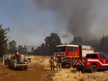 Ministro Valenzuela: “No podemos cantar victoria, tenemos 8% más de incendios”