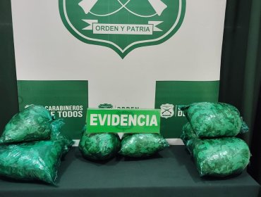 Incautan más de 3 kilos de droga en equipaje de pasajero de bus que viajaba de Santiago a Puerto Montt