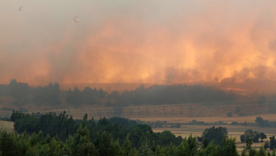 La Araucanía continúa como principal foco de los incendios forestales: más de 17 mil hectáreas han sido consumidas