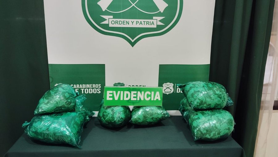 Incautan más de 3 kilos de droga en equipaje de pasajero de bus que viajaba de Santiago a Puerto Montt