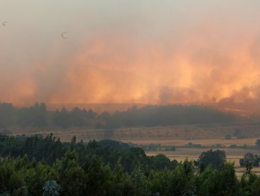 La Araucanía continúa como principal foco de los incendios forestales: más de 17 mil hectáreas han sido consumidas