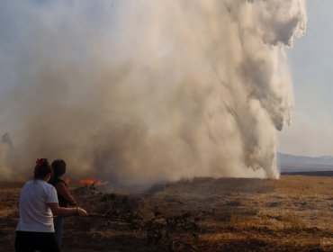 Extienden toque de queda para seis comunas de región de La Araucanía por incendios forestales