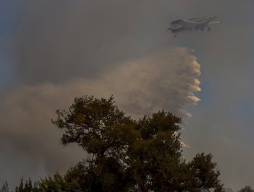 Jefe de Defensa Nacional en La Araucanía dice que "no hemos tenido pruebas" sobre intencionalidad en incendios