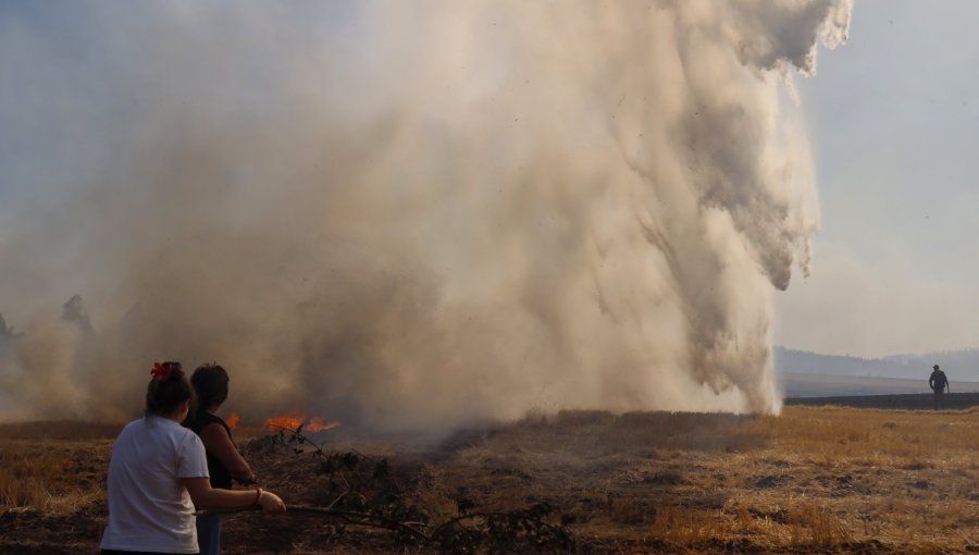 Extienden toque de queda para seis comunas de región de La Araucanía por incendios forestales