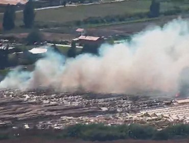 Equipos de emergencia combaten incendio forestal a altura del paradero 7 en Quillota