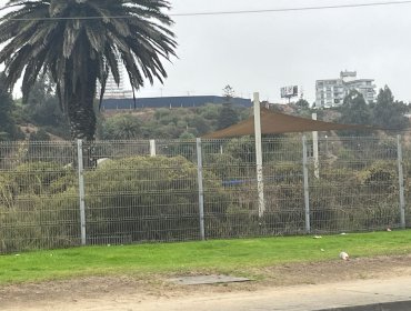 Denuncias por proyecto en Las Salinas: Superintendencia de Medio Ambiente analiza posibles infracciones de empresa