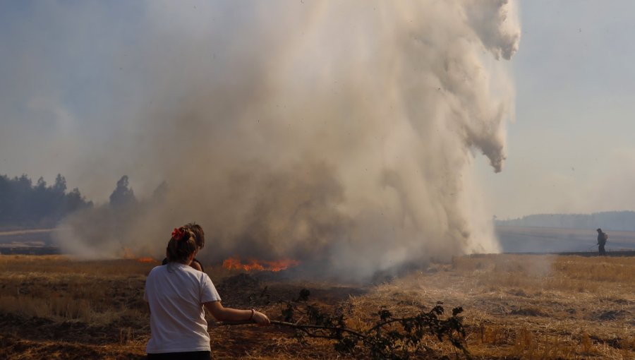 En prisión preventiva quedó autor de incendio de pastizales en Coronel