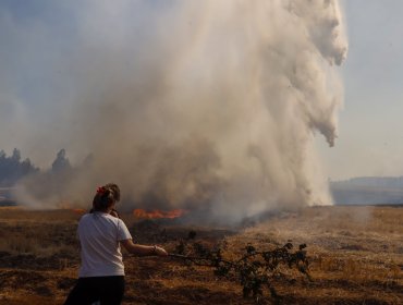 En prisión preventiva quedó autor de incendio de pastizales en Coronel