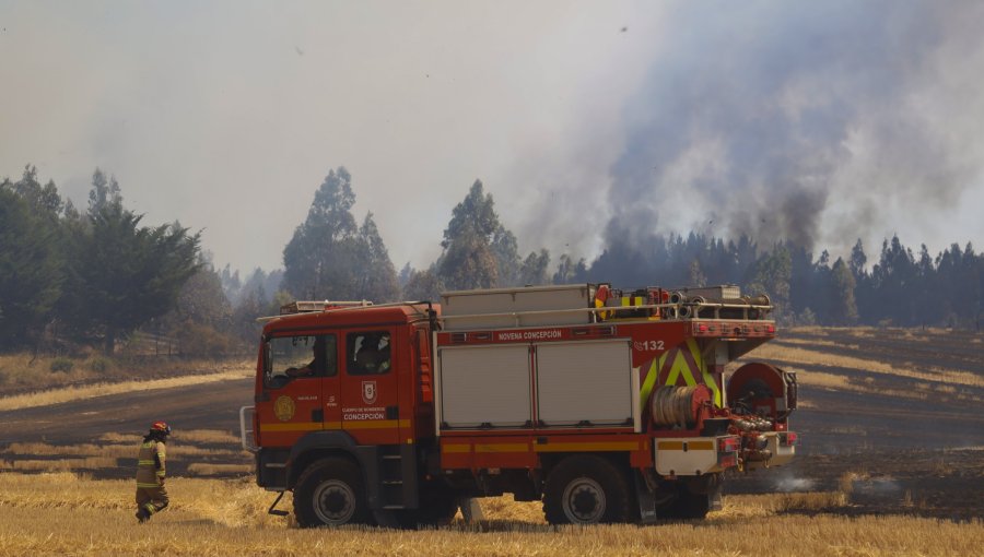 Mejora situación de incendios en La Araucanía, pero autoridades mantienen alerta