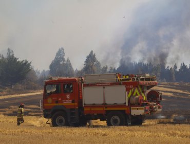 Mejora situación de incendios en La Araucanía, pero autoridades mantienen alerta