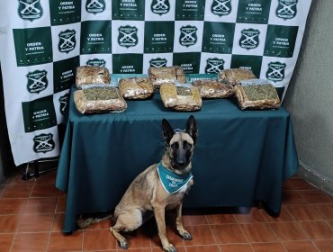 Carabineros detuvo a toda la tripulación de un bus en Nogales al no hallar al propietario de una maleta con 8 kilos de marihuana