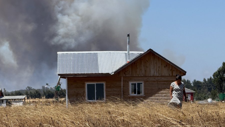 Decretan alerta roja para Chillán por incendio forestal que amenaza viviendas