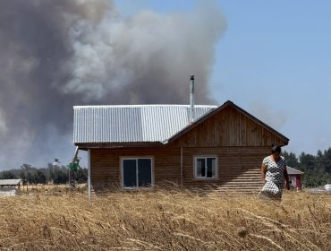 Decretan alerta roja para Chillán por incendio forestal que amenaza viviendas