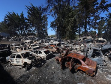 Alcalde de San Pedro de la Paz insiste en intencionalidad de incendio de corral y asegura que presentará una querella